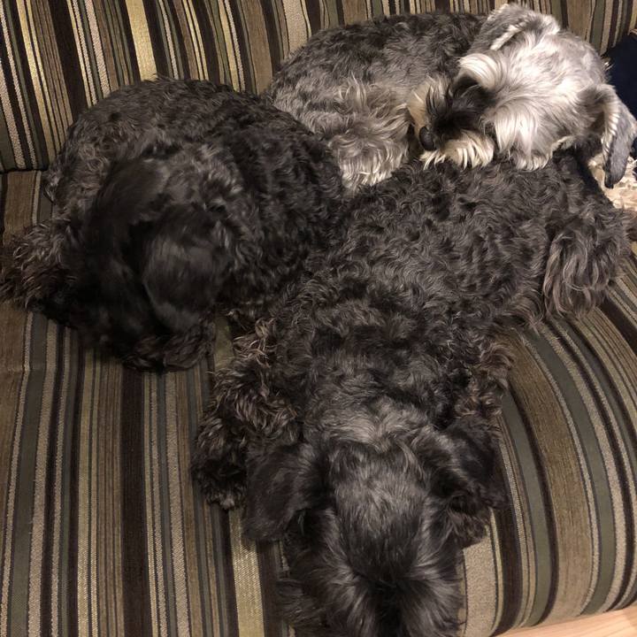 E67d5dcf f799 40ae 9c8c 74fbf94ba527 1552314765462