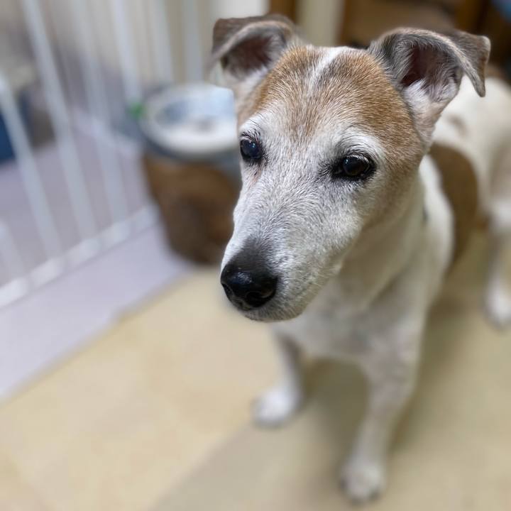 E67d6433 3b57 4246 b9d3 cc126b32ae58 1659918517930