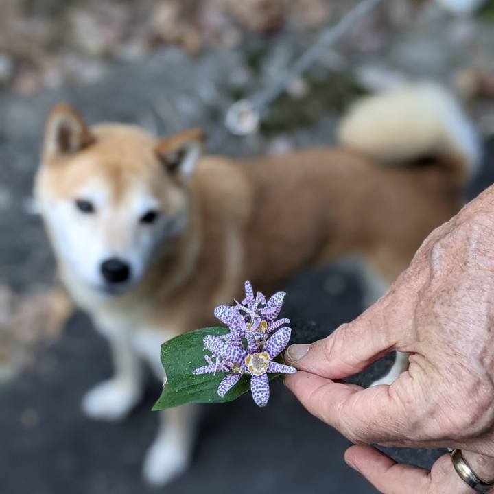 E67d6710 3fc7 4433 ae20 77756dad2e7d 1633945580618