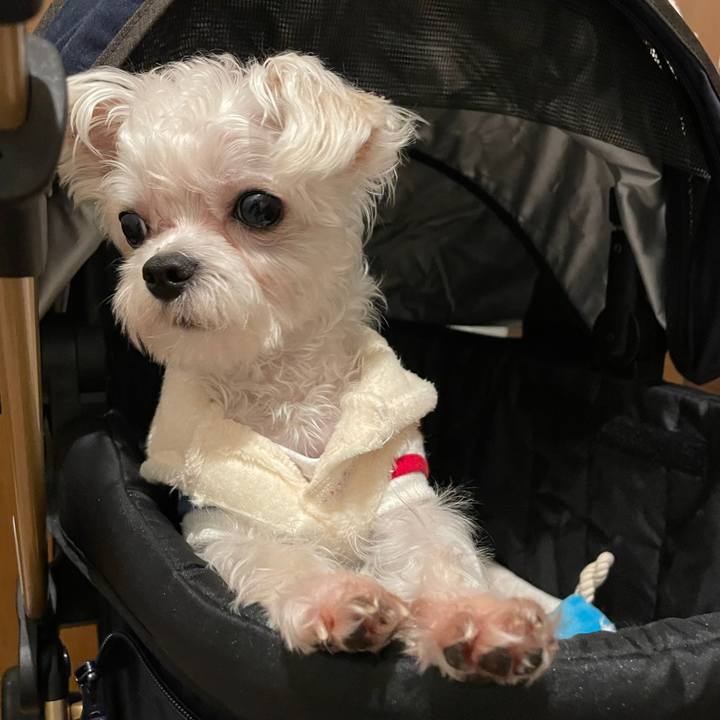 E67d74df b636 4049 ad88 b8eb5efcc2f9 1643100069543