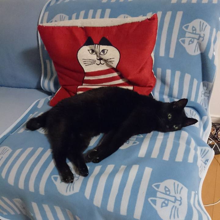 E67d8d1f a6bd 4aca 80dd 2b01a1bf4529 1541945301395