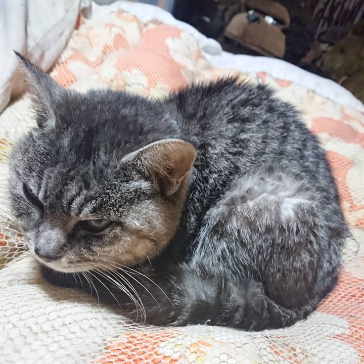 E67d974f ed98 472f b8b5 289f0e182469 1580817637621