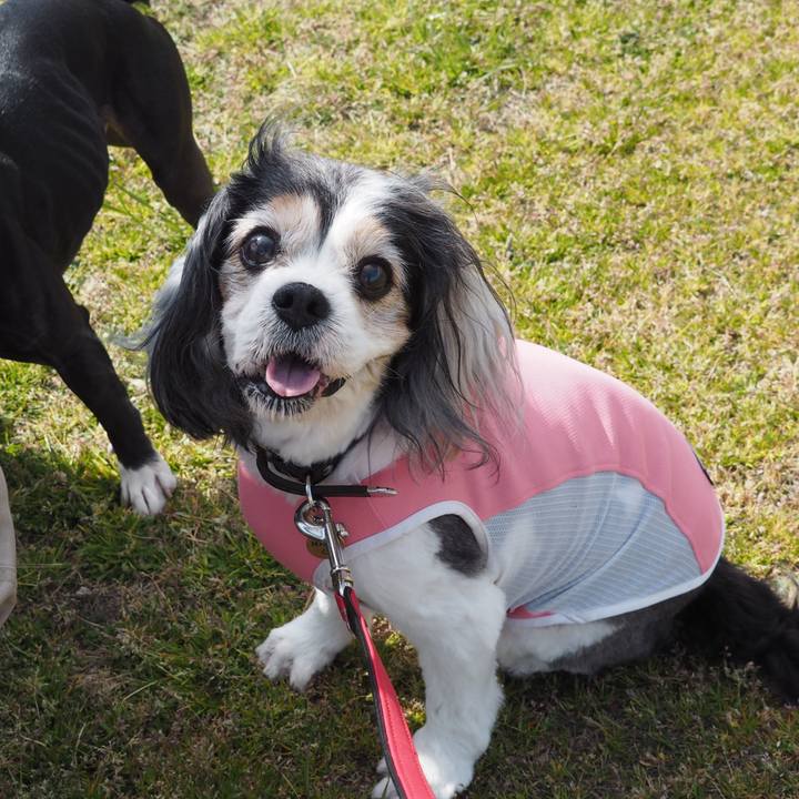 E67dade2 b644 474d 8a7e 2a9165f7f845 1584778373391