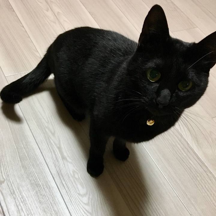 E67e2265 54b1 4e0c 8ed9 dcdc534f10b8 1514644837096