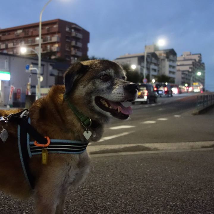 E67e23d9 2005 4bca bcec e9f927ad50be 1567174757470