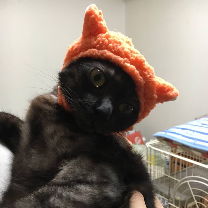 E67e3cb4 50a6 42a1 b561 5484d22c7071 1565690816523