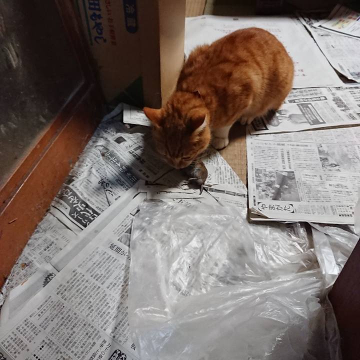 E67e3f04 8586 47bb ae3d 4078754c1ca8 1602496133443