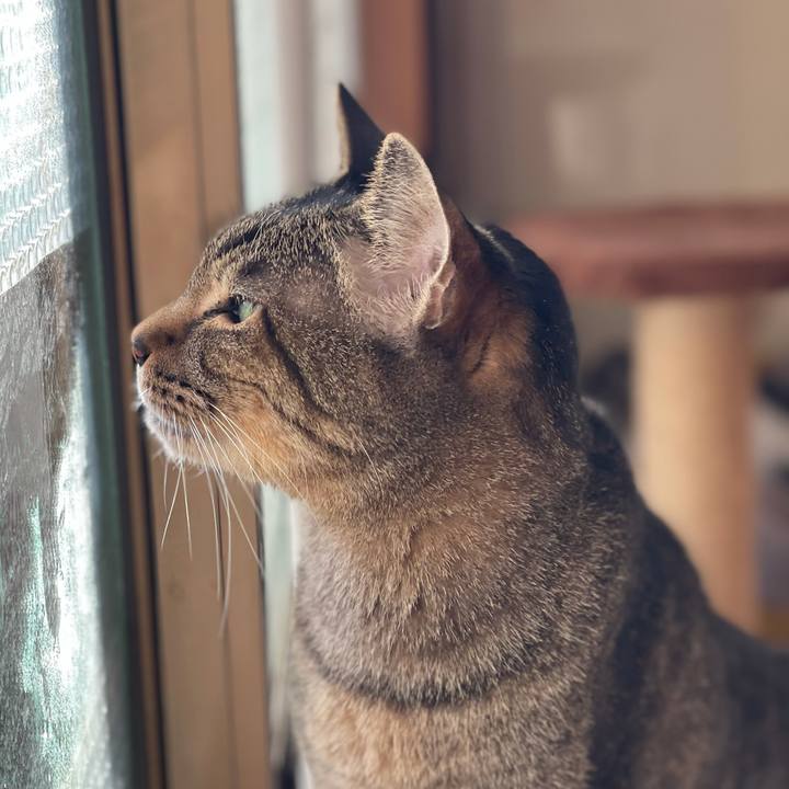 E67e5870 c7e3 44a8 8495 d5aa76153394 1611884625901