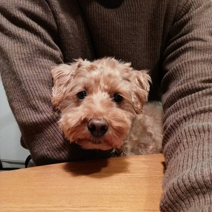 E67ecf51 3b0e 4aae 9b88 5f8c160d3f00 1577792004347