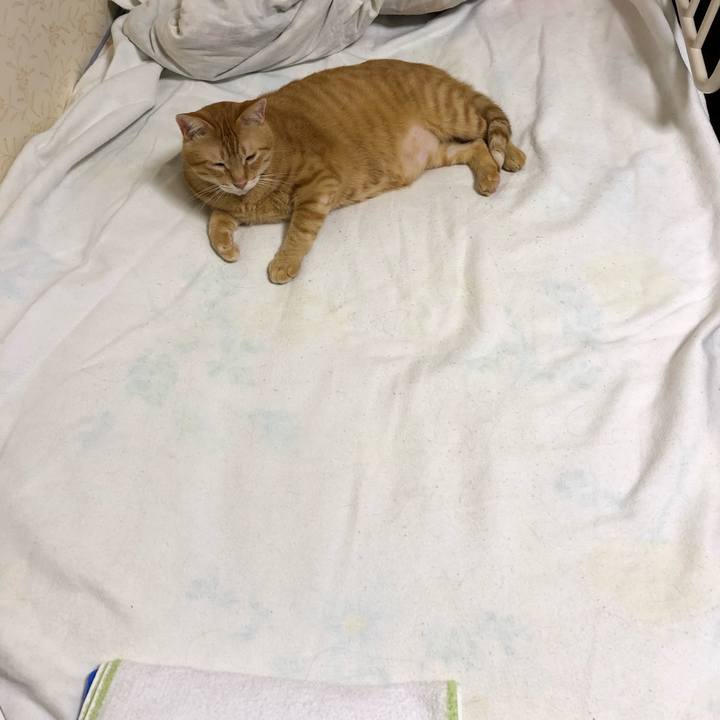 E67ee540 1940 46ee a738 f21d723af157 1566392321198