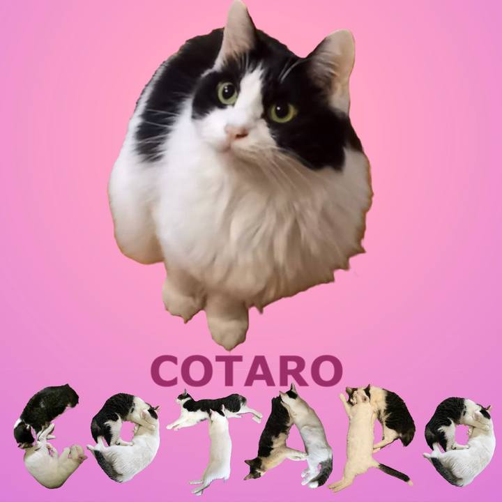 E67f0087 45a3 4de8 bfcc 1c5371c9f0e7 1668513595390