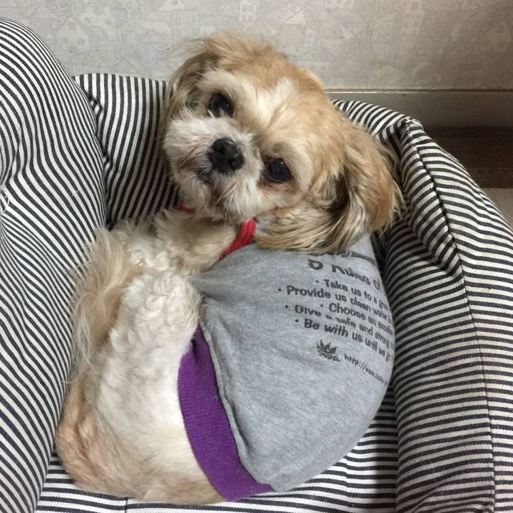 E67f0ae8 32ea 42d8 9af6 abbf99b72774 1542084229179