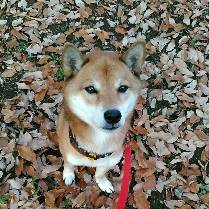 E67f75b2 89f3 408e a37e eb79e142c695 1575796684965