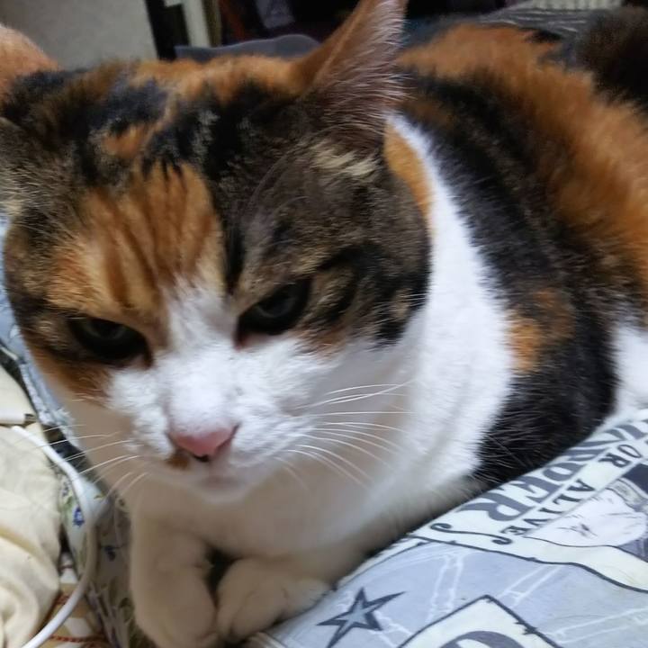 E67f7d8d e107 4c25 a14f 8a6b539e9453 1572991055942