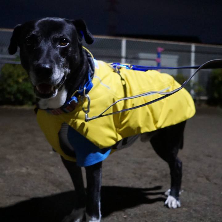 E67fad70 3c53 469a 814e da66f644532d 1767610765796