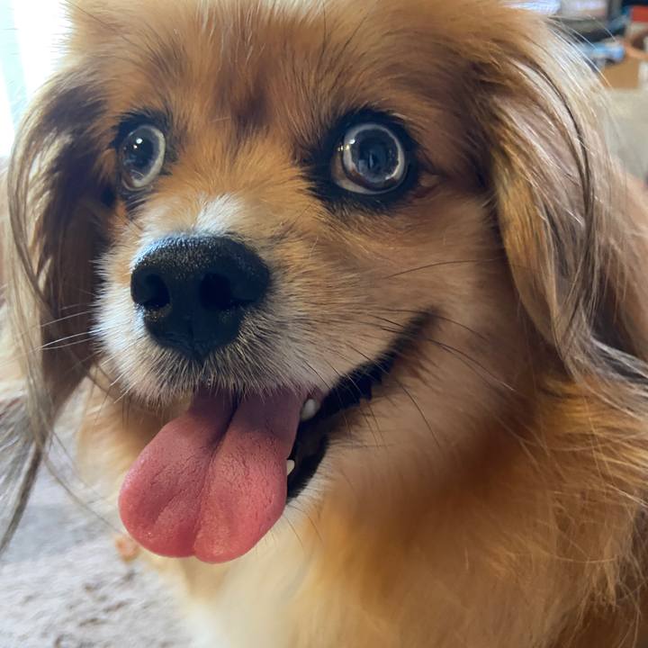 E67fe71e ecb2 4b51 b16f 415f5329120e 1626733780263