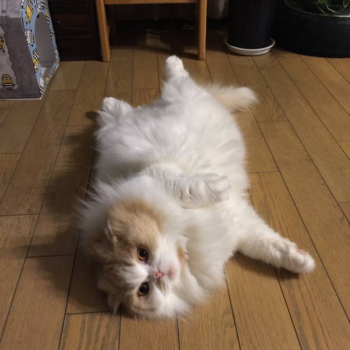 E67ff11f 1d5d 426e 9d0a d461ea5a1f09 1515407068845