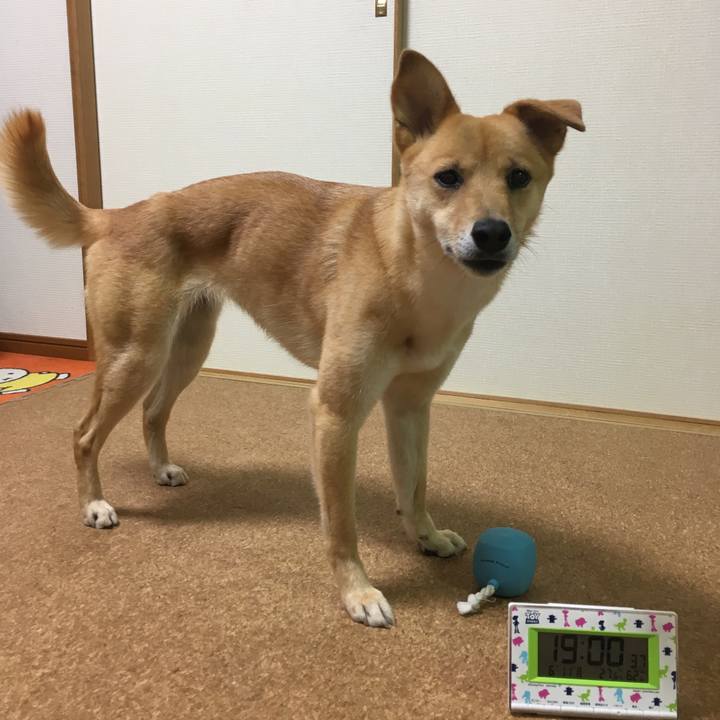 E680249d bc1b 46dc ab88 10a49a702256 1528711324241