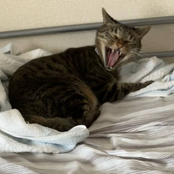 E680329c bcce 4ca8 8ad1 6ff4a2b705de 1692335915112