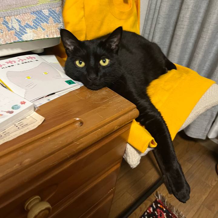 E6803d25 3b03 443c a79b be09560d7c28 1680102914581