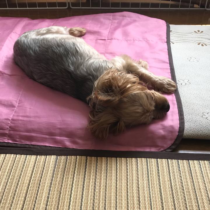 E680bc13 1525 4e3e bf07 67ab0d8dd968 1627551414108