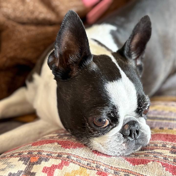 E680e54c c865 404c 824e 128a0e6a1a7a 1774058080708