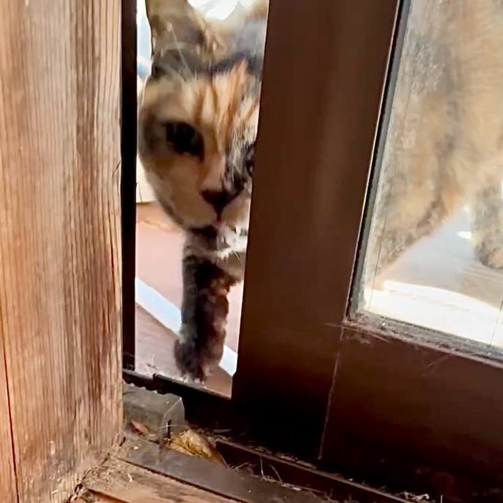 E681101a 6cf4 4315 9247 94686b6ad533 1764295056662