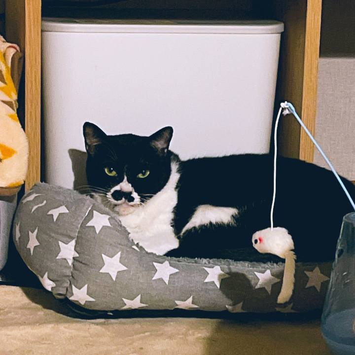 E68142c3 9bce 4b94 9656 22d8e7b64291 1668861146702