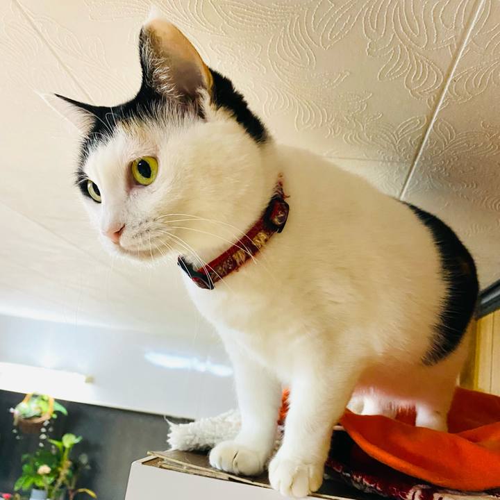 E68173bd 8650 42ef 9837 1184076709f7 1702650393391