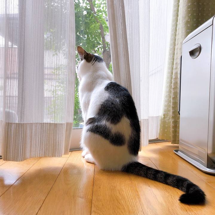 E6817aac 5fc0 4ef8 a3fd ac613f931dae 1621820971732