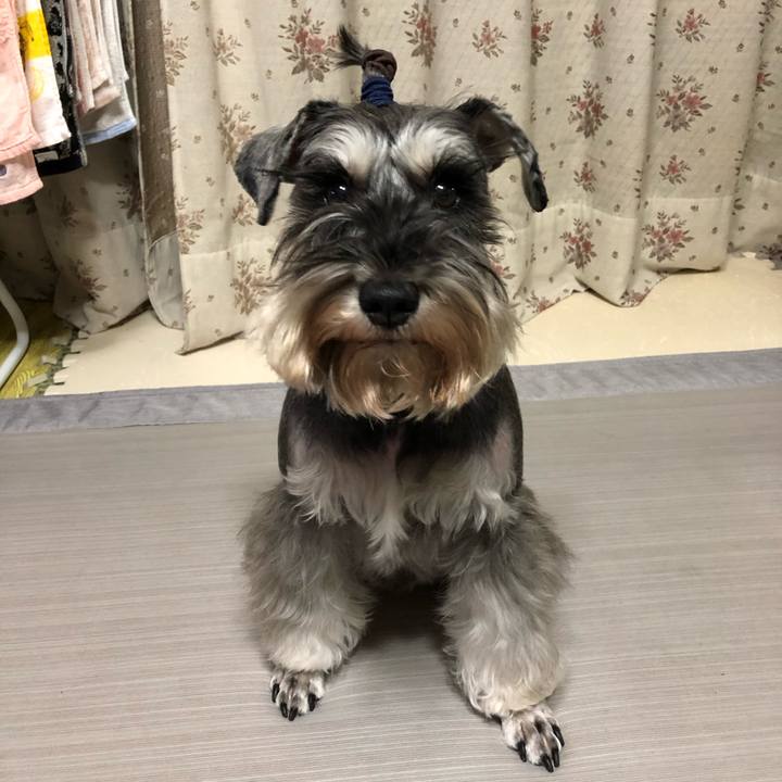 E6817e75 aa8a 4c7e 9e11 1a16c9e19592 1582116208766