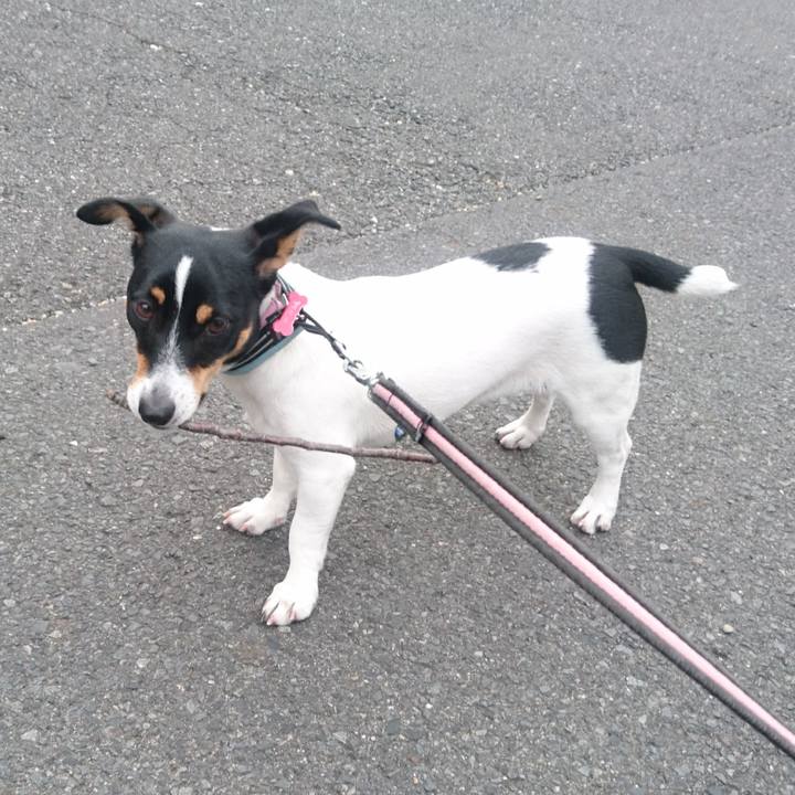 E6817f8e 38d9 4b94 b472 869064de2775 1544403534789