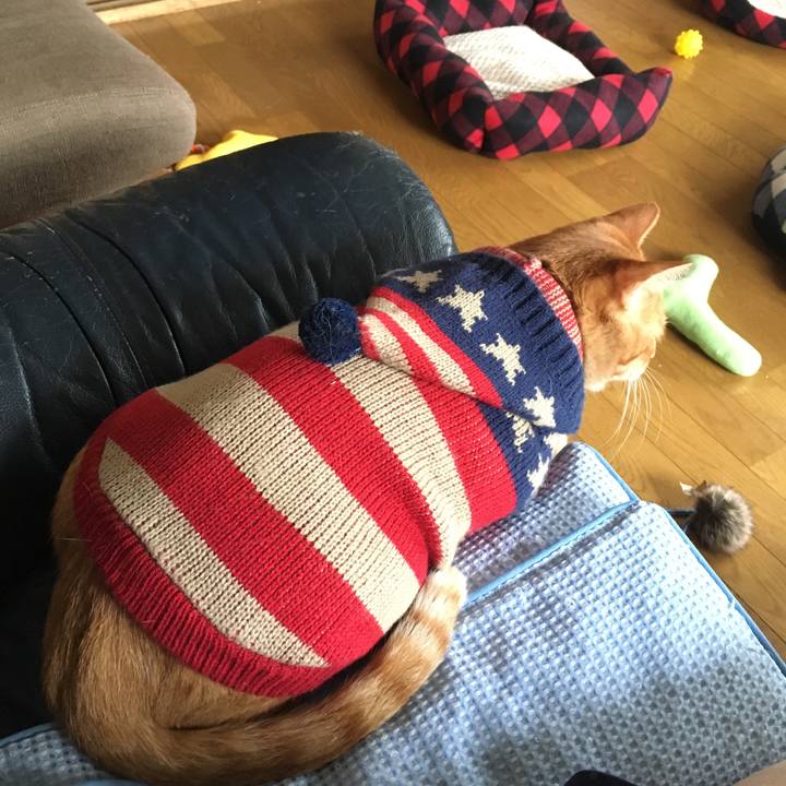 E6819bce 1e5e 4630 8c2e 576f27b415de 1542010279818