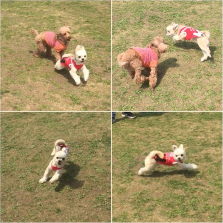 E681b77e 576f 4549 93ba 46c56fd97230 1554624984727