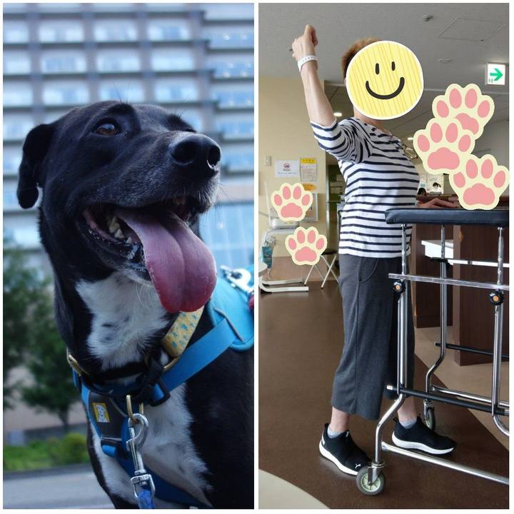 E681c621 fd51 49b7 be2c 0a9f3e8f3296 1624529043810