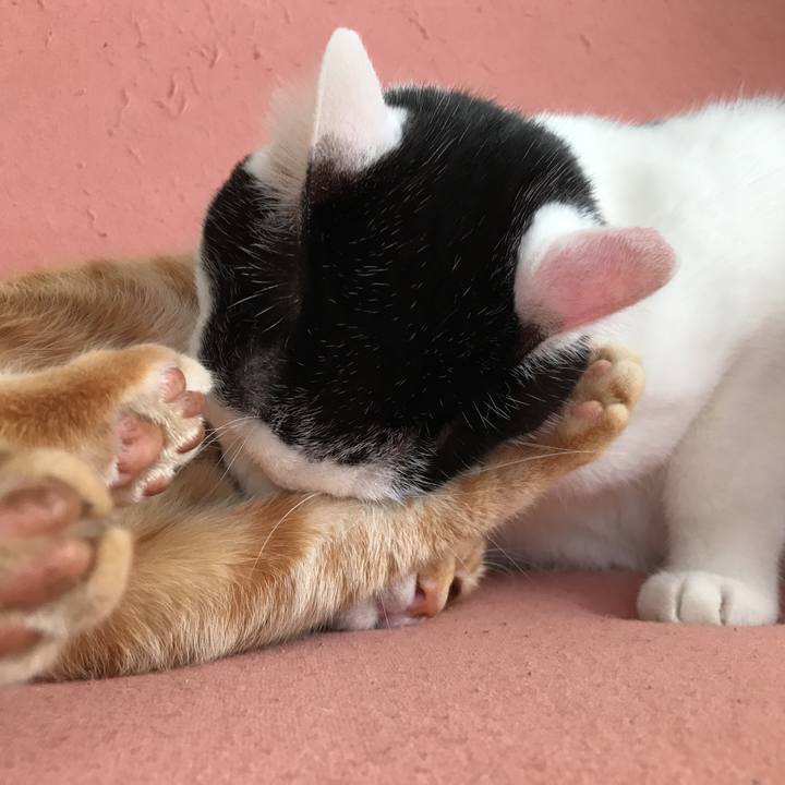 E68204a9 20db 4655 9ff3 da5a82ccd1d3 1517277078823