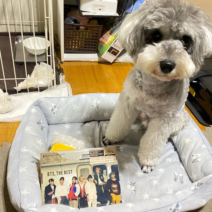 E6820725 3332 48fd 807c 64883a767939 1623761564210