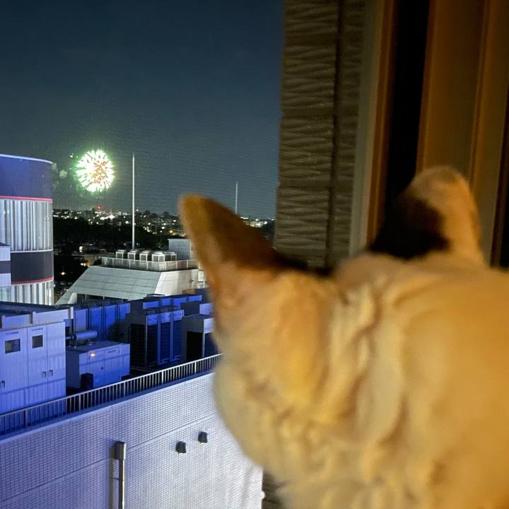 E682bfc7 44e1 4da1 b43d 604db4960abb 1753614887443