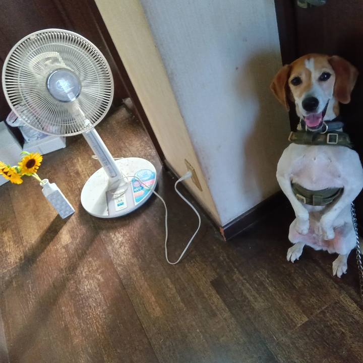 E682e9b1 889d 409c ab9f b7a13c5e9fbb 1720262357032