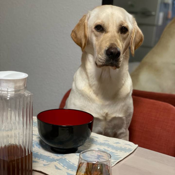 E682ef9f 1444 430f a91c e8b252405488 1656159500045