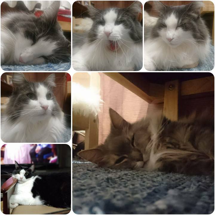 E683130a 7a35 445e 9830 dd50fab8ccbf 1566983995441