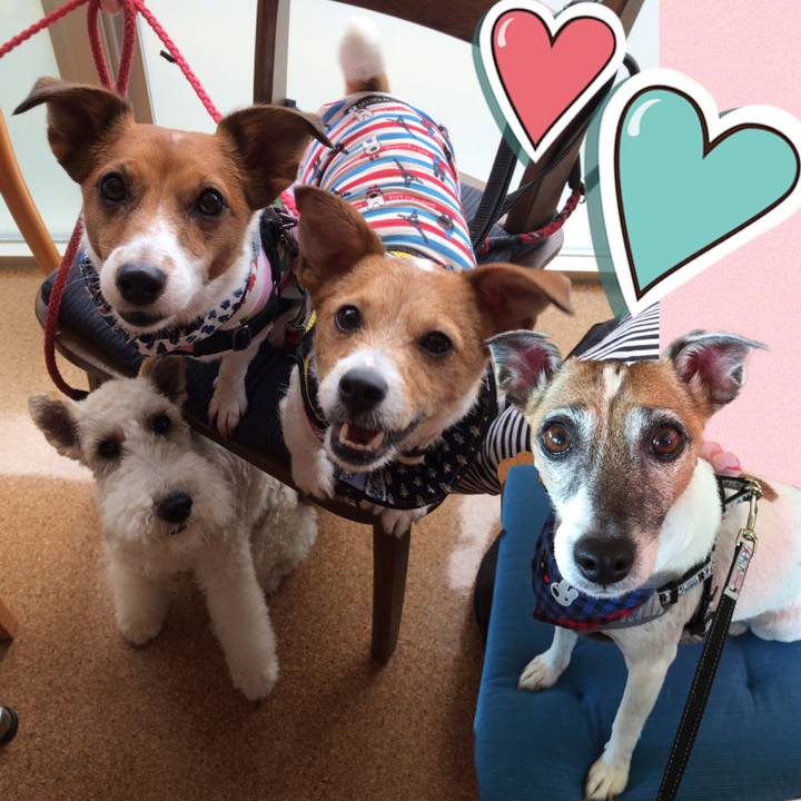 E6835288 9cdc 445e affa a0229a79ccbe 1561815593189