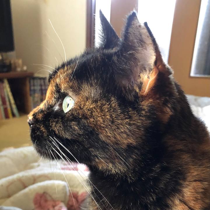 E6836b09 f57a 4054 a089 1a8b16e1a8c6 1631323585165