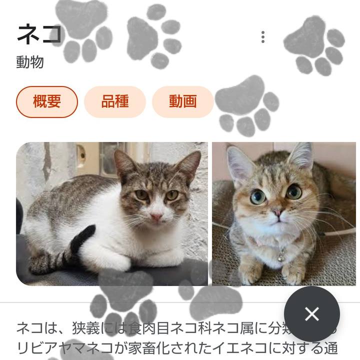 E683829f 84ff 4b14 bfad 7aaa3b86dacc 1660172204779