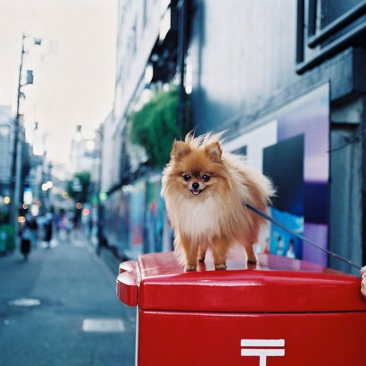 E6838413 b61d 4a3d 9c79 06dc779ea51f 1535591292260