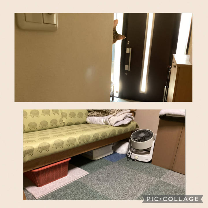 E6838e3d f8ef 4686 b595 8d80828ba813 1754632138707