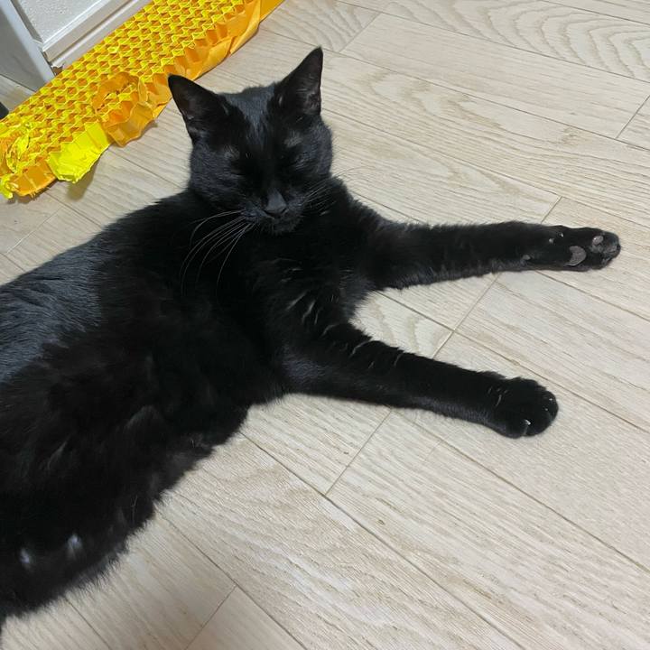 E6839ceb f60d 4e1e 96e2 15d426dfe8f7 1739879763610