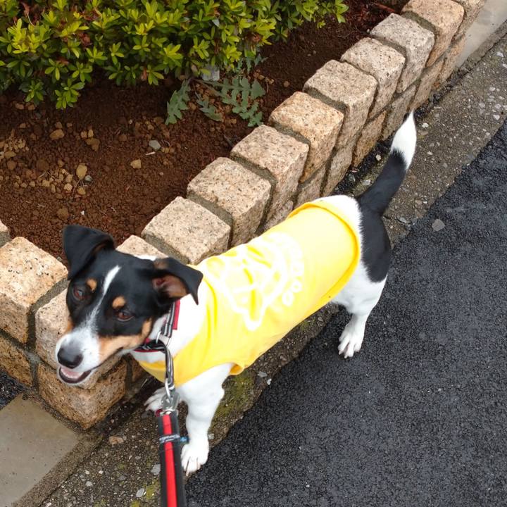 E683d72c 0385 429d 9846 42ebdd917499 1594349496052