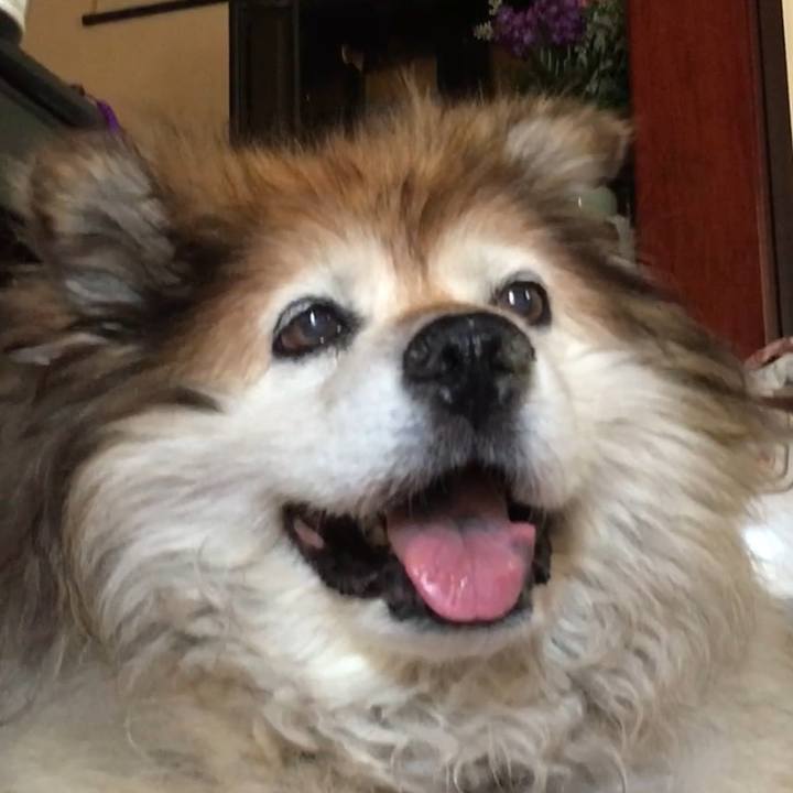 E683f351 08f7 43c5 b987 5f9c31a28cfb 1559724253443