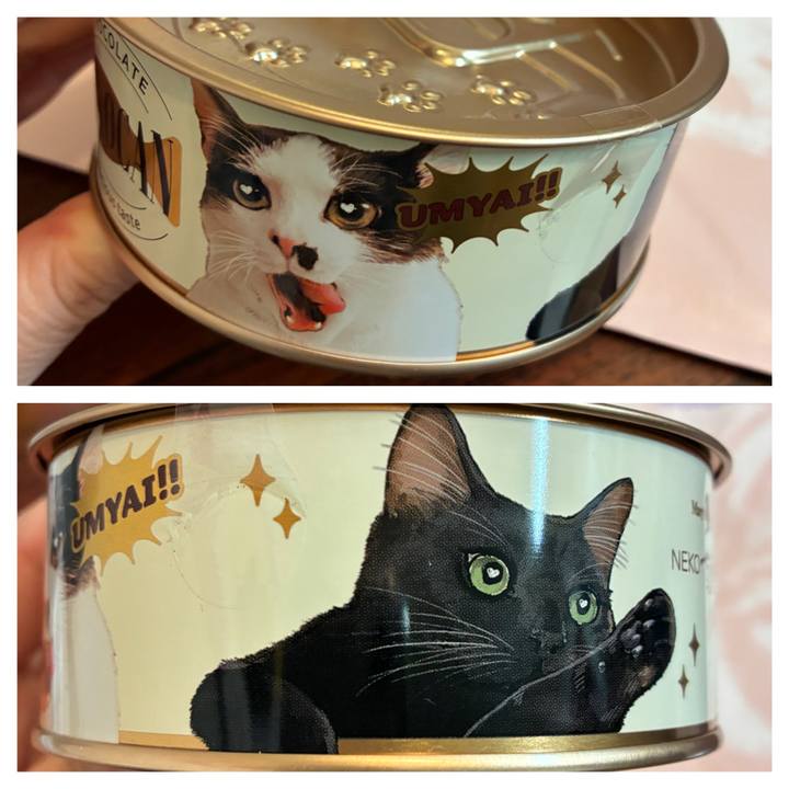 E6840d93 e70a 4890 9e36 b03df2266bd8 1770020375919